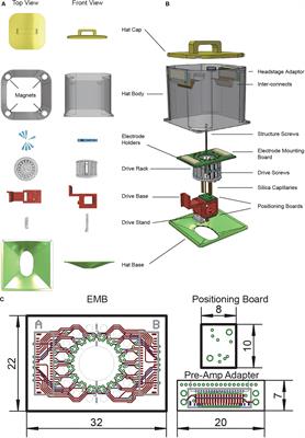 A Novel 3D-Printed Multi-Drive System for Synchronous Electrophysiological Recording in Multiple Brain Regions